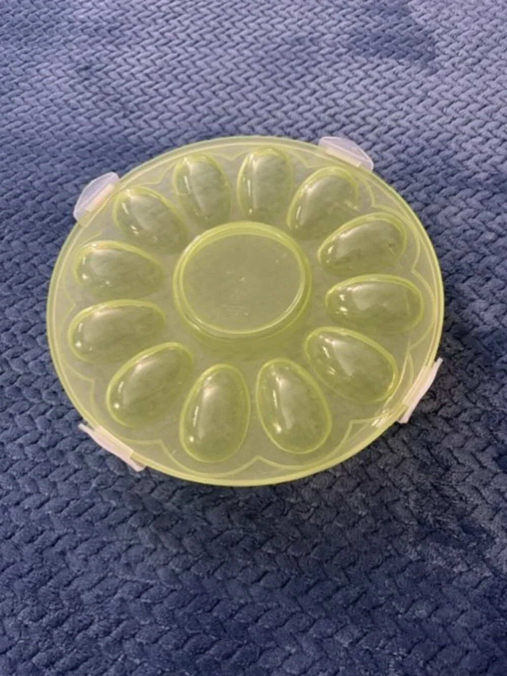 Round Pastel Green Deviled Egg Carrier with Locking Lid – Holds 12 Eggs